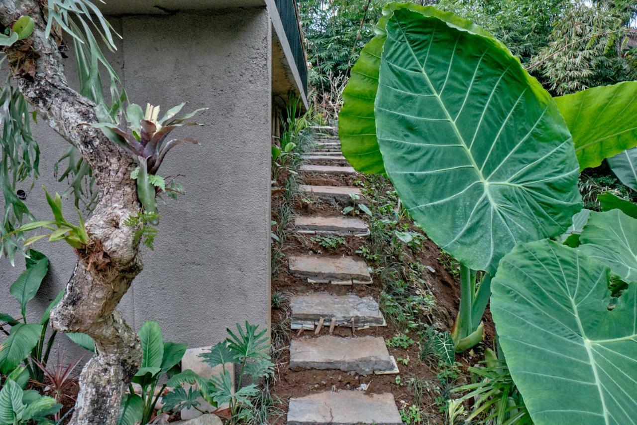 Gek House Ubud Extérieur photo